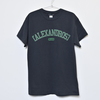 Vintage Style T-Shirt(Black×Green)