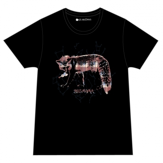 +11℃ツアー Tシャツ(ブラック)