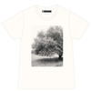 Photo Tシャツ(ナチュラル)