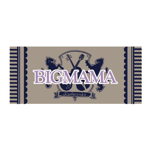 Roclassick tour 2019 Towel