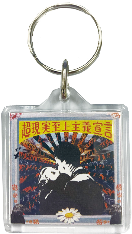 Album Jacket key chain