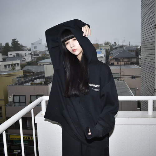 Shakedown HOODIE(M・L・LADIES)