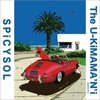 thumbnail_226.jpg